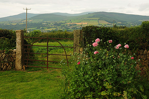 Carraig, Clonegal. County Carlow | Carraig's View of the Blackstairs Mountains