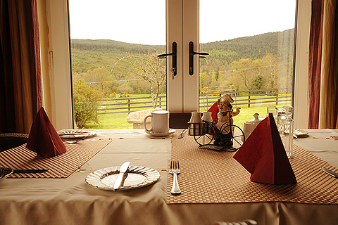 Coolalingo, Glenmalure. County Wicklow | Mountain Views from Breakfast Room